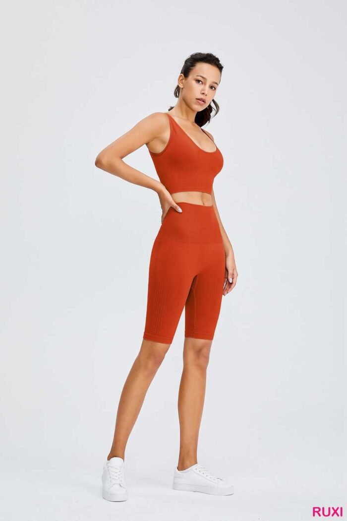 Lavender Workout Shorts-Womens Athletic Wear Ruxi rg0446